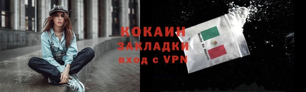гашик Покровск