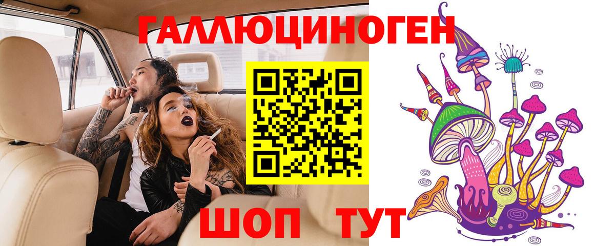 Снежинск  Псилоцибиновые грибы Psilocybe  Псилоцибиновые грибы прущие грибы  Вход с VPN 